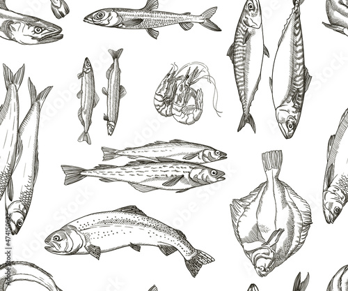 Vector graphics, drawings by hand. Fish.Capelin, herring,
 shrimp, flounder, pollock, trout, mackerel, hake, argentina. Seamless pattern.