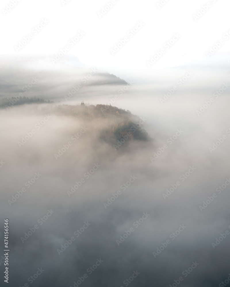 Smooth hills covered in Fog