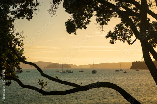 Yachts at anchor at sunrise