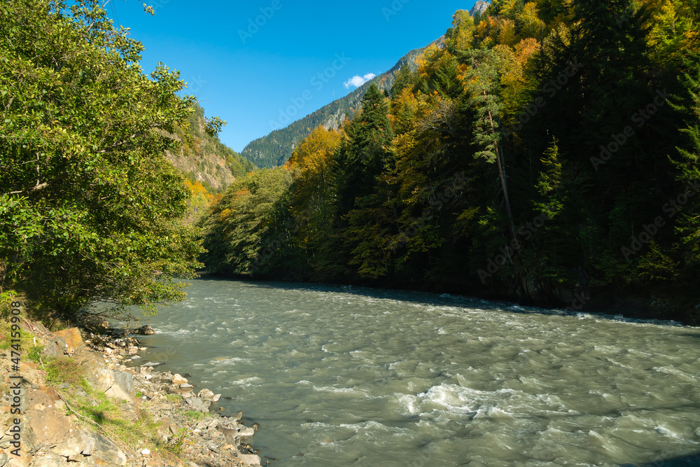 Fast mountain river flows against the background of trees. mountains, blue sky on a sunny autumn day. Colorful autumn landscape in the mountains of Georgia