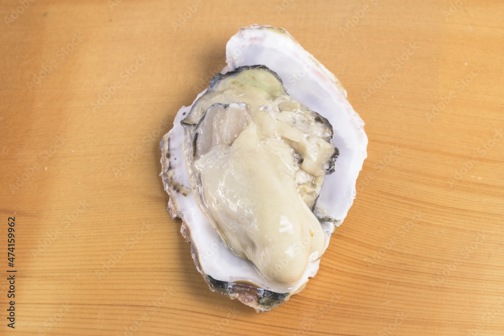 産地直送の獲れたての生ガキのむき身　冬の高級食材の牡蠣