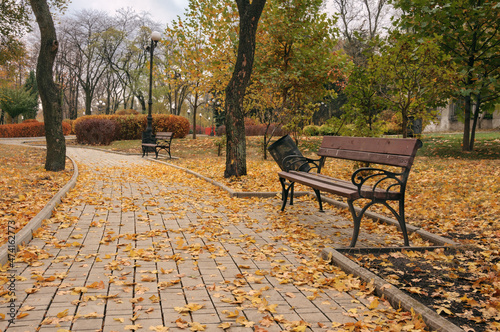 Park alley in autumn city park. Benches in the park alley
