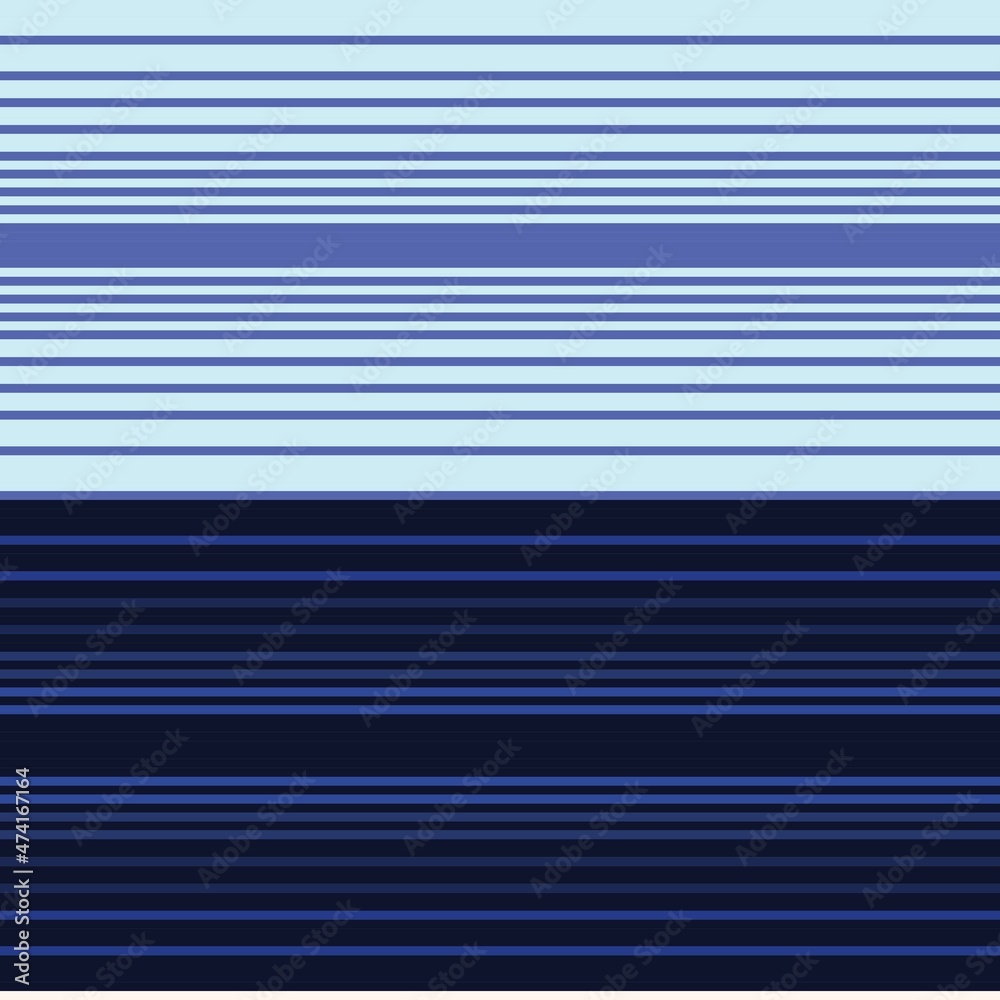 Fototapeta premium Blue Double Striped seamless pattern design