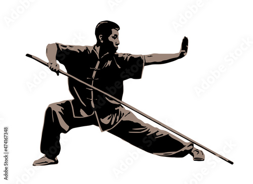 Fotografie, Obraz Silhouette of a man shows the Kung Fu wushu stance