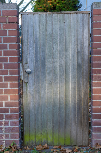 Locked wooden door in a wall to a garden