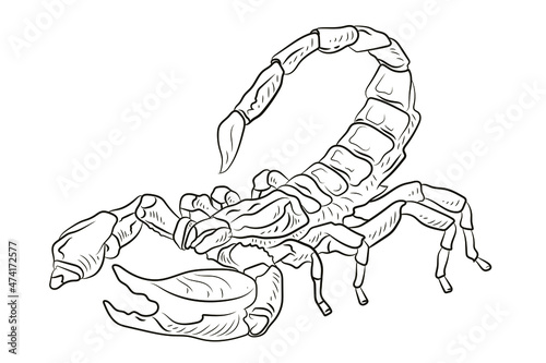 Scorpio, vector image. Black and white drawing, coloring for children. Symbol.
