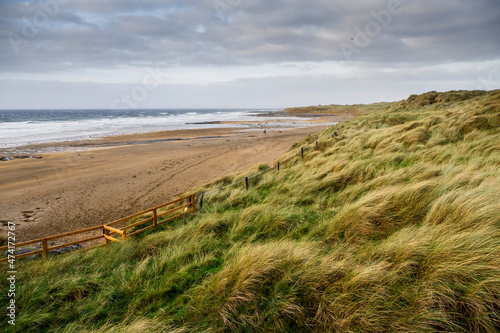 Tall green grass on a dune, sandy beach and ocean in the background. Beautiful nature scene. Fanore beach, county Clare, Ireland. Popular travel destination on Wild Atlantic Way tourist route.