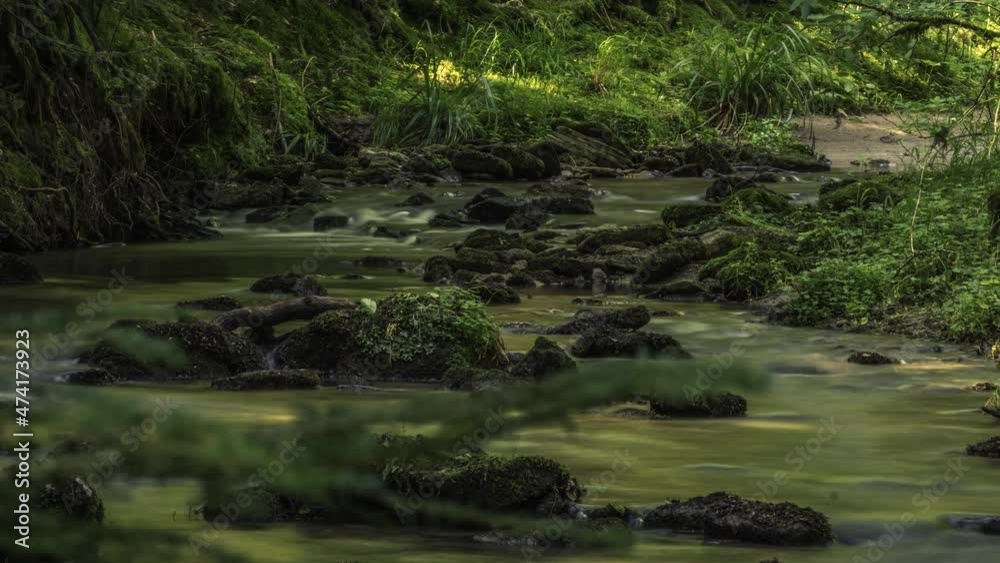 Kristall klarer Bach im Murrhardter Wald Kristall klarer Bach im Murrhardter Wald