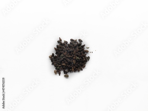Shivlingi ,bryonia laciniosa a medicinal plant. Seeds are used in a medicine. Ayurvedic medicine.  photo