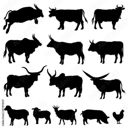 Animal silhouettes on a white background. Vector simple illustration