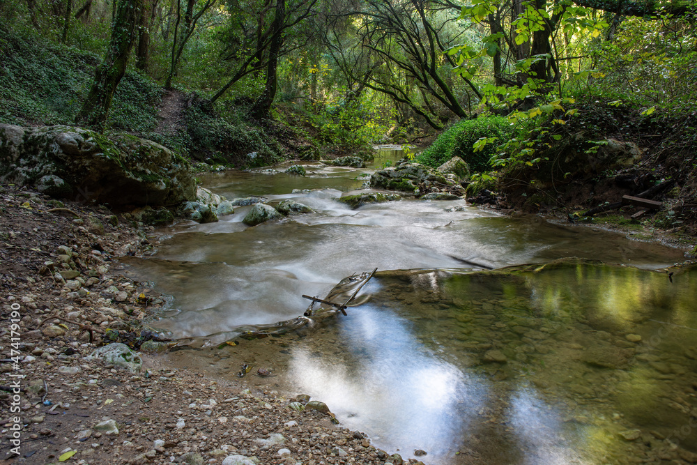 Beautiful river in the forest in kyprianades village corfu greece Beautiful river in the forest in kyprianades village corfu greece