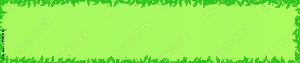 green grass frame