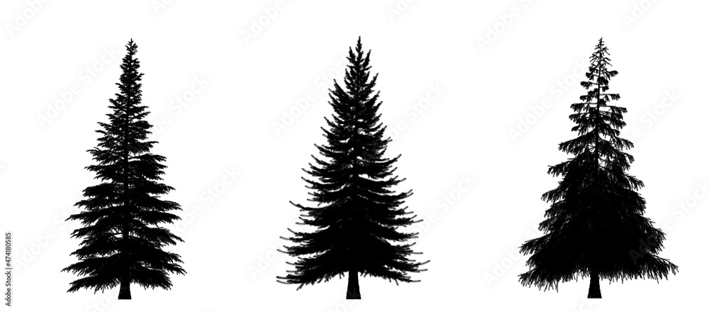 Black silhouette of Pine, Christmas tree icon isolated on white background. 