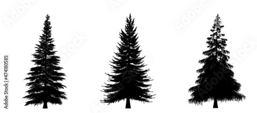 Black silhouette of Pine  Christmas tree icon isolated on white background. 