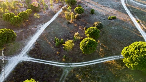 Drone footage over trees and multiple dirt roads.