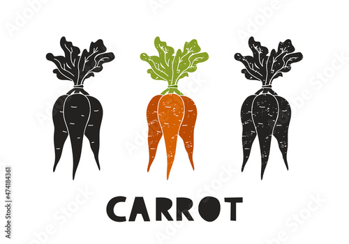 Carrot, silhouette icons set with lettering. Imitation of stamp, print with scuffs. Bunch of root vegetables. Black shape and color vector illustration. Hand drawn isolated element on white background