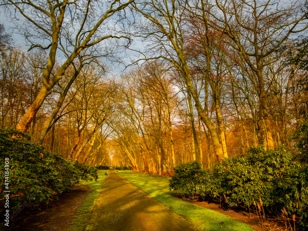 Naklejka premium autumn in the park