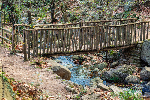 Old wooden bridge over a river in the forest