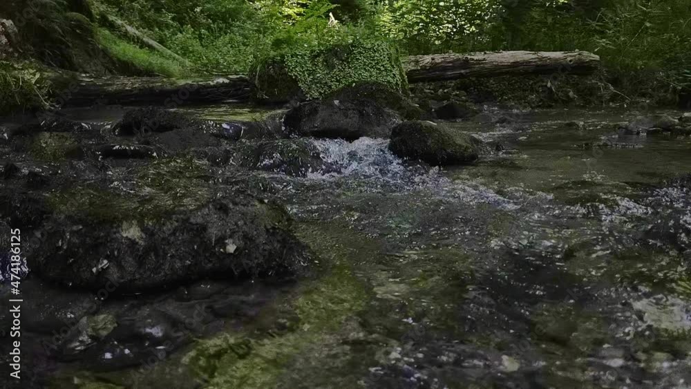 Kristall klarer Bach im Murrhardter Wald Kristall klarer Bach im Murrhardter Wald