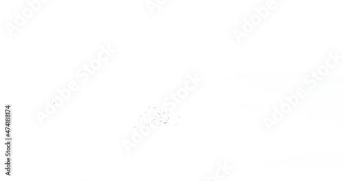 A pack of 3 different flocks of crows isolated on white background. Black ravens silhouettes in flight for compositing into your footage. Wildlife visual effects. Visual elements.