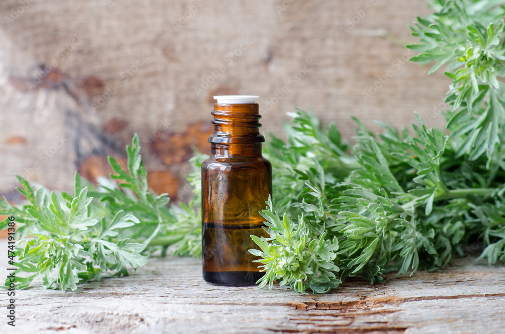 Small bottle with essential wormwood oil (extract, tincture, infusion). Old wooden background. Aromatherapy, spa and herbal medicine concept. Small bottle with essential wormwood oil (extract, tincture, infusion). Old wooden background. Aromatherapy, spa and herbal medicine concept.