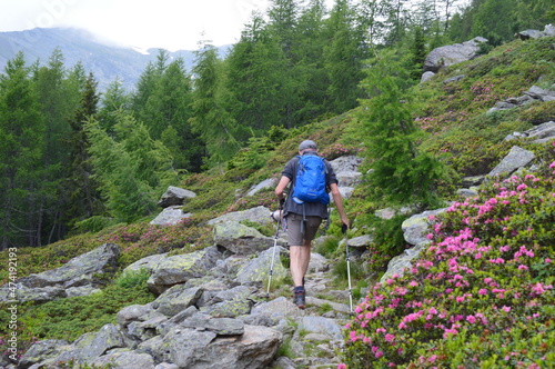 Man hiking in Southtyrol  photo