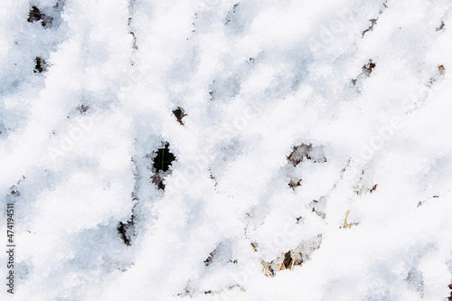 Neige blanche sur des branches au sol - Arrière plan matière naturelle design