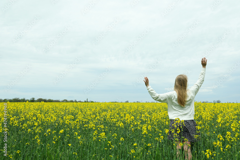 Fototapeta premium A girl stands in a rapeseed field on a summer day