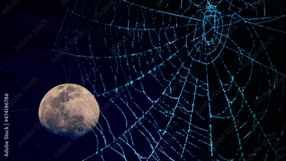 Full moon moving to the center of spider web at night dark sky. Mystical moonshine spooky scene on black background. Halloween mood.