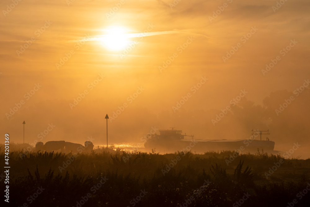 Fototapeta premium The river Ijssel in the Netherlands