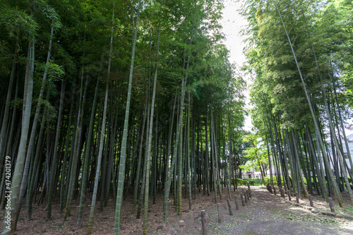 蘆花恒春園（東京都世田谷区粕谷）