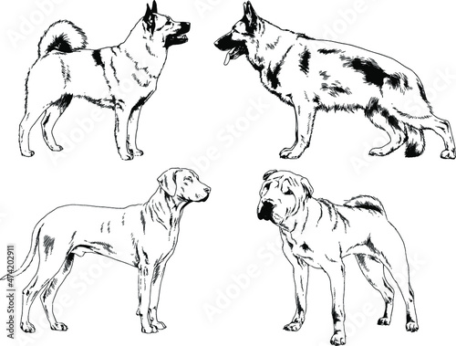 vector drawings sketches pedigree dogs and cats drawn in ink by hand , objects with no background