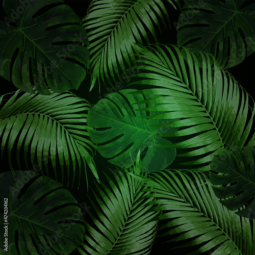 Realistic monstera and palm leaves on dark background. Modern background for your design. Illustration for birthday  party card  invitation  fashion.