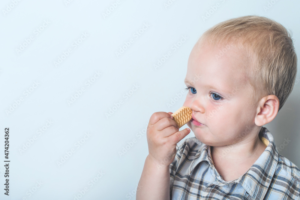 Toddler boy in blue shorts and shirt eating cookies close-up and copy space.. Toddler boy in blue shorts and shirt eating cookies close-up and copy space..