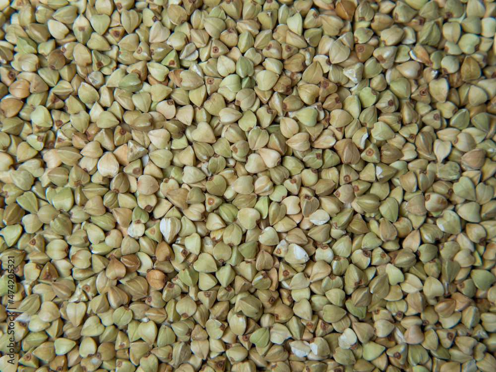 Green unroasted buckwheat groats solid background. Copy space. Green unroasted buckwheat groats solid background. Copy space.
