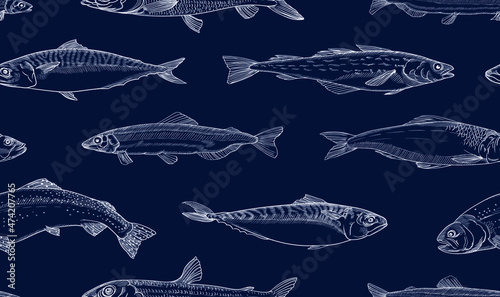 Vector graphics, drawings by hand. Fish.Capelin, herring, pollock, trout, mackerel, hake, argentina. Seamless pattern.
