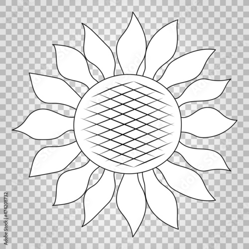 Sunflower. Vector outline hand-drawn doodle illustration.