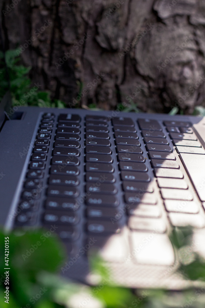 Laptop keyboard in the golden hour sun