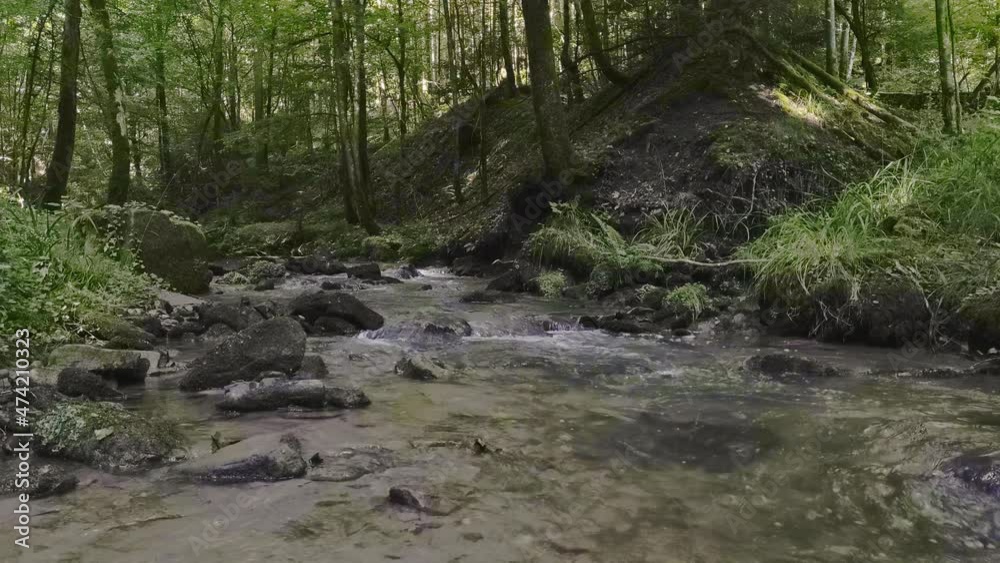 Kristall klarer Bach im Murrhardter Wald Kristall klarer Bach im Murrhardter Wald