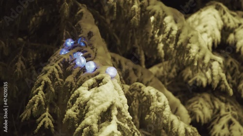 Christmas tree with New Year's glowing blue light balls Covered with snow in the forest in the wild nature.Night.Slider.Winter.Merry Christmas and Happy New Year.