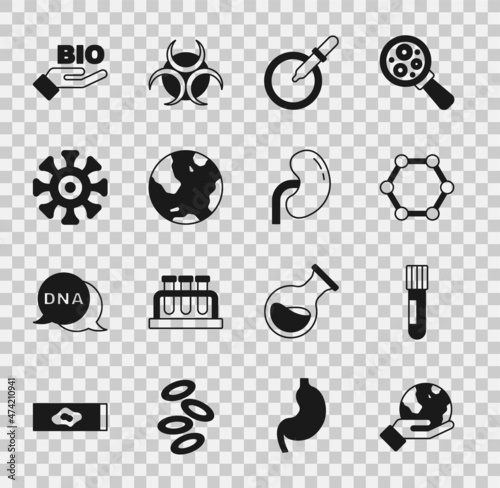 Set Hand holding Earth globe, Test tube flask, Molecule, Petri dish with pipette, Bacteria, Bio healthy food and Human kidney icon. Vector