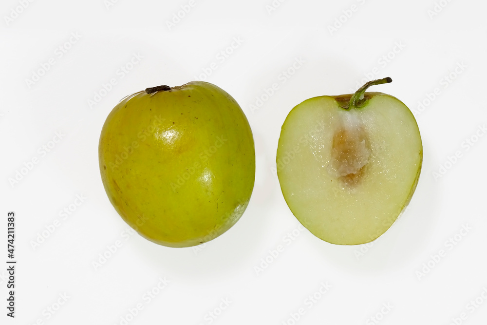 Jujube, Indian jujube monkey apple, green balls pile was similar to green apple on white background Jujube, Indian jujube monkey apple, green balls pile was similar to green apple on white background