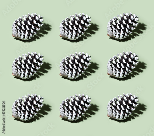 Pine conifer cone pattern on basil green background