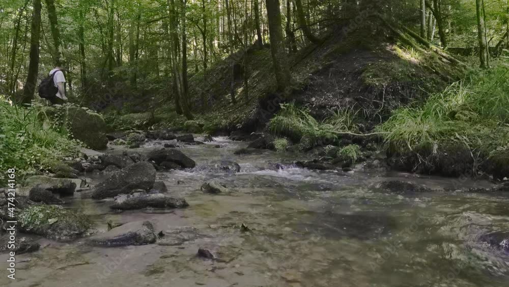 Kristall klarer Bach im Murrhardter Wald Kristall klarer Bach im Murrhardter Wald