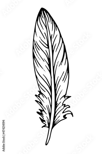 Hand drawn black feather. Ethnic boho style hand drawing.