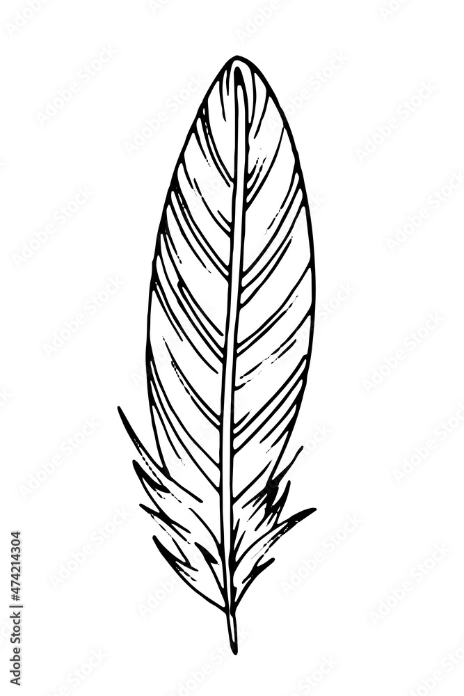 Hand drawn black feather. Ethnic boho style hand drawing. Hand drawn black feather. Ethnic boho style hand drawing.