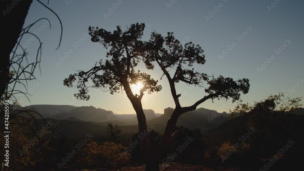 Radiant Sunrise Behind Twisted Juniper TreeZoom In Timelapse Radiant Sunrise Behind Twisted Juniper TreeZoom In Timelapse