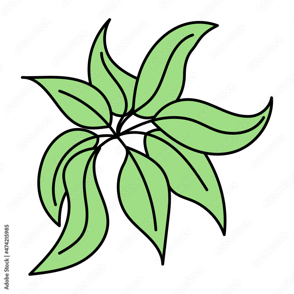 Hand drawn tropical leaf vector in doodle style, isolated on white background. Hand drawn tropical leaf vector in doodle style, isolated on white background.