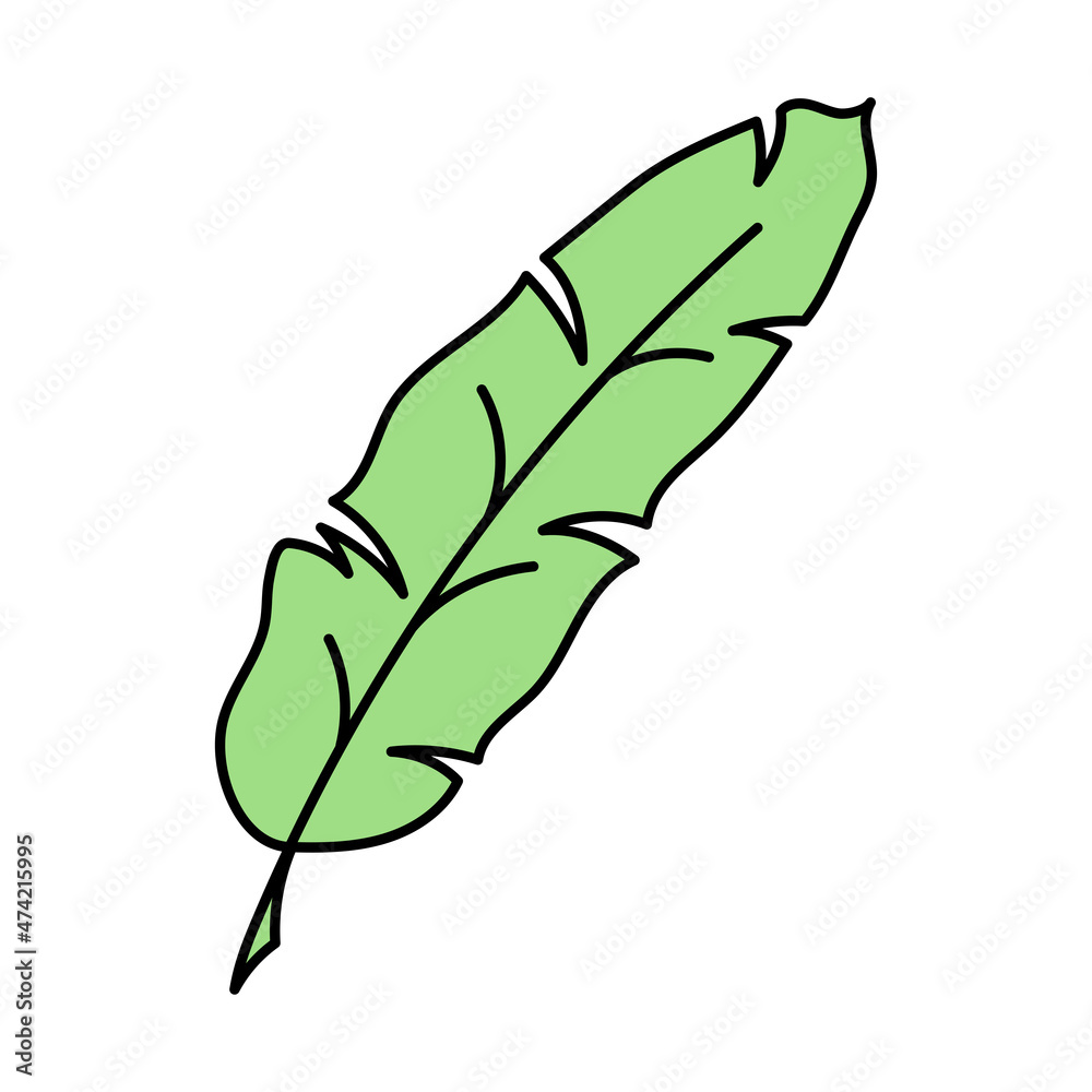 Hand drawn tropical leaf vector in doodle style, isolated on white background. Hand drawn tropical leaf vector in doodle style, isolated on white background.