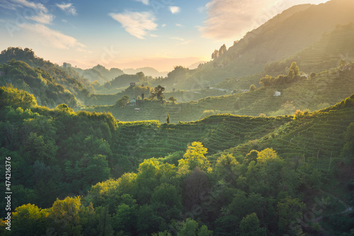 Obraz na płótnie Prosecco Hills hogback, vineyards at sunset